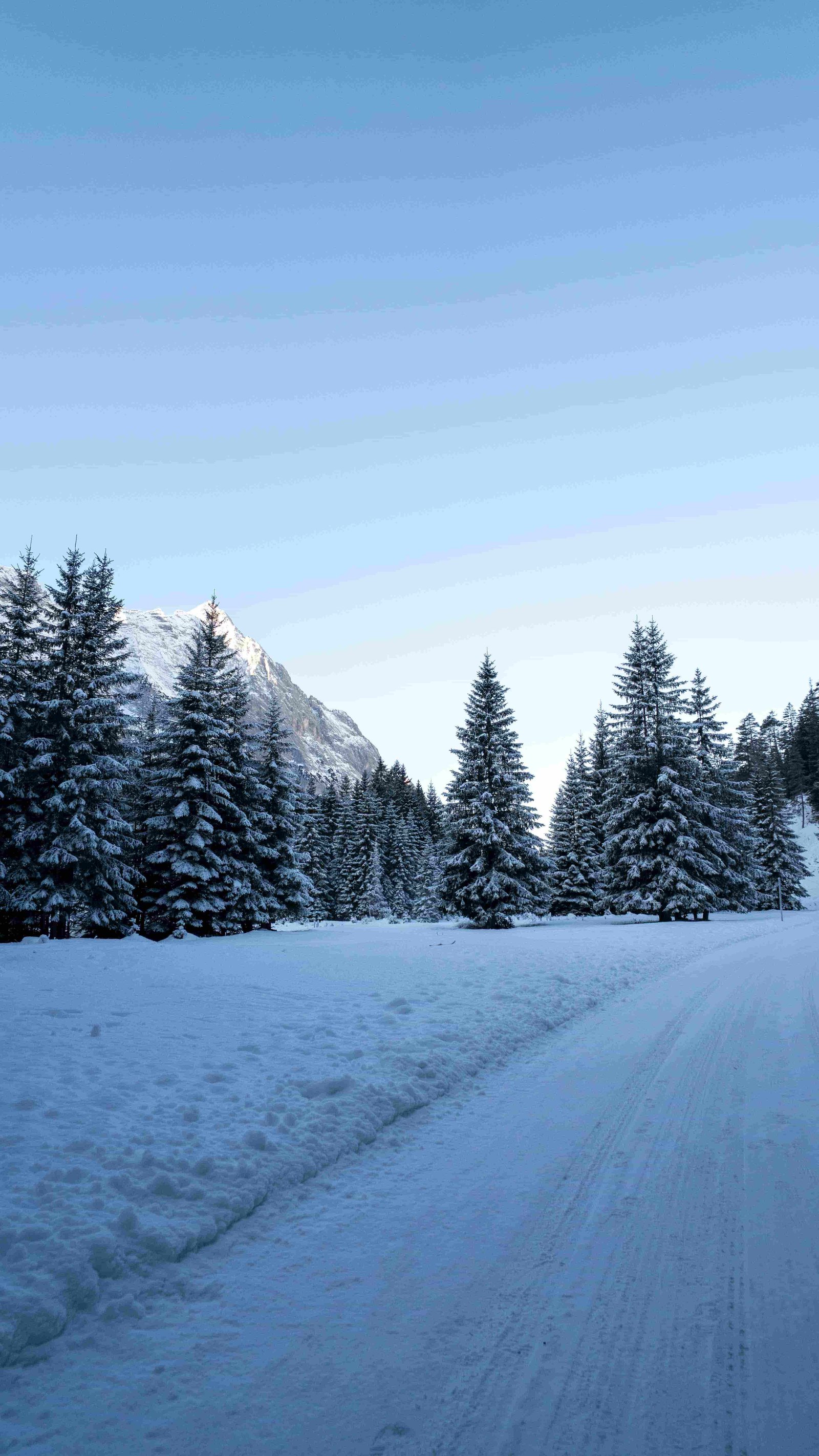 die Schneelandschaft